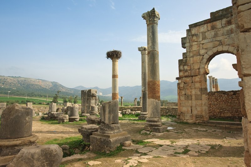 Ruins and remains of Volubilis Capitol